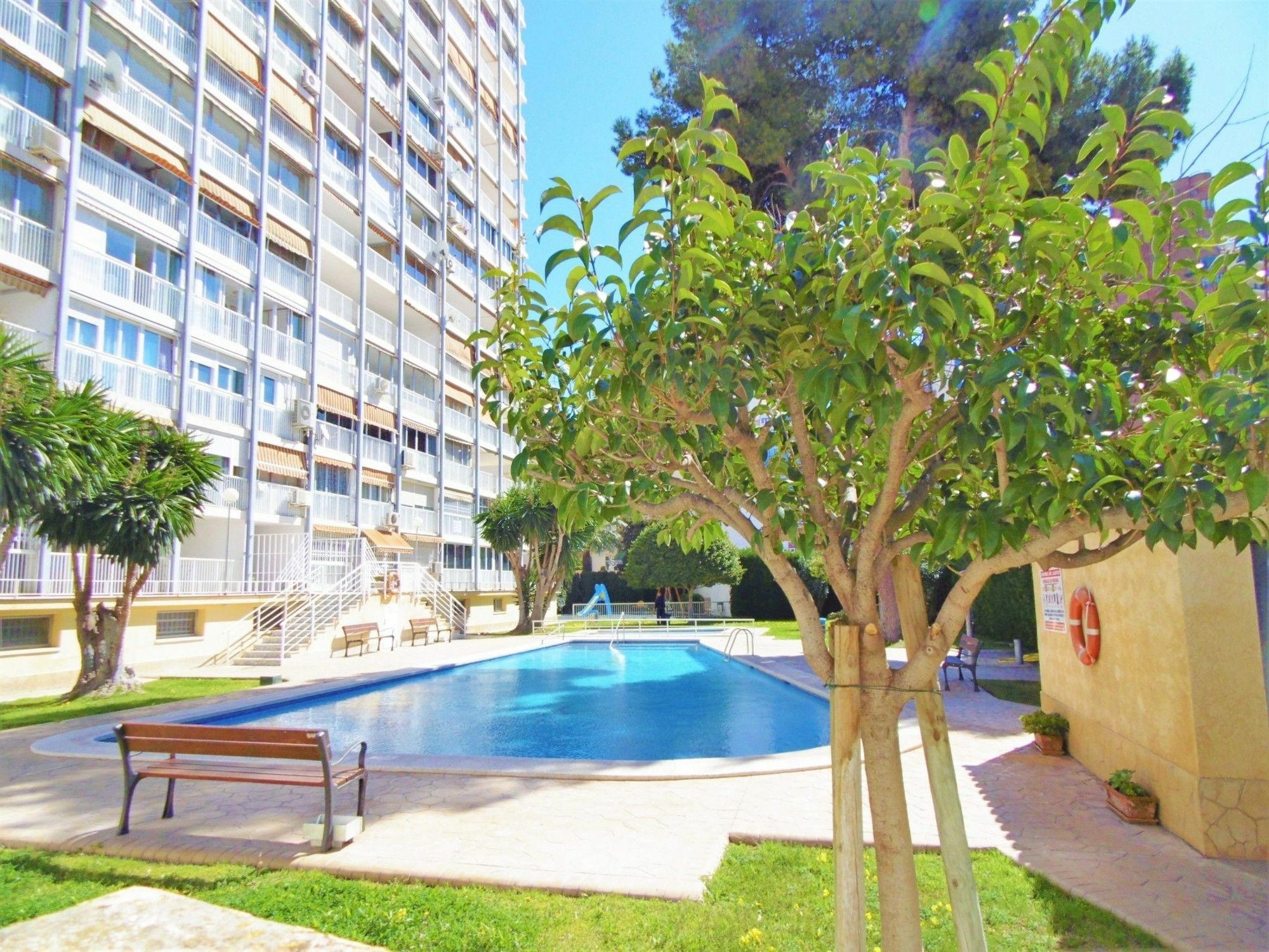 Albatros 11-5 Appartement *
